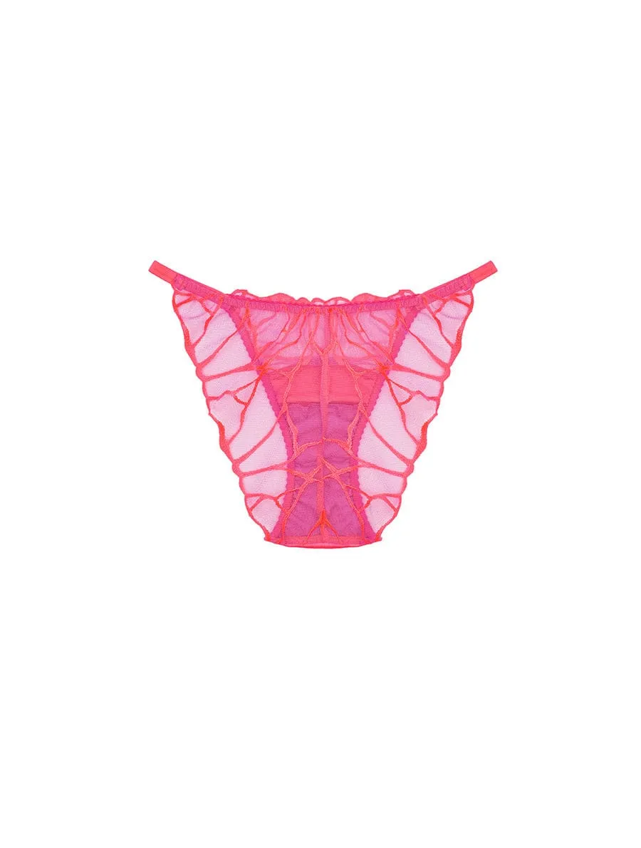 Cleo Brief