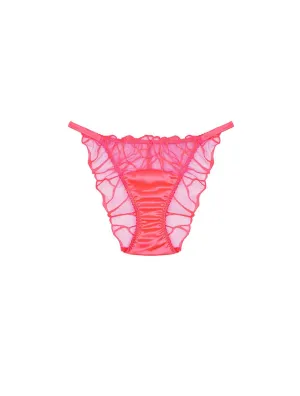Cleo Brief