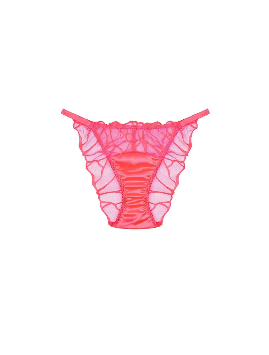 Cleo Brief