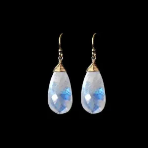 Rainbow Moonstone Earrings - Worn on Bones
